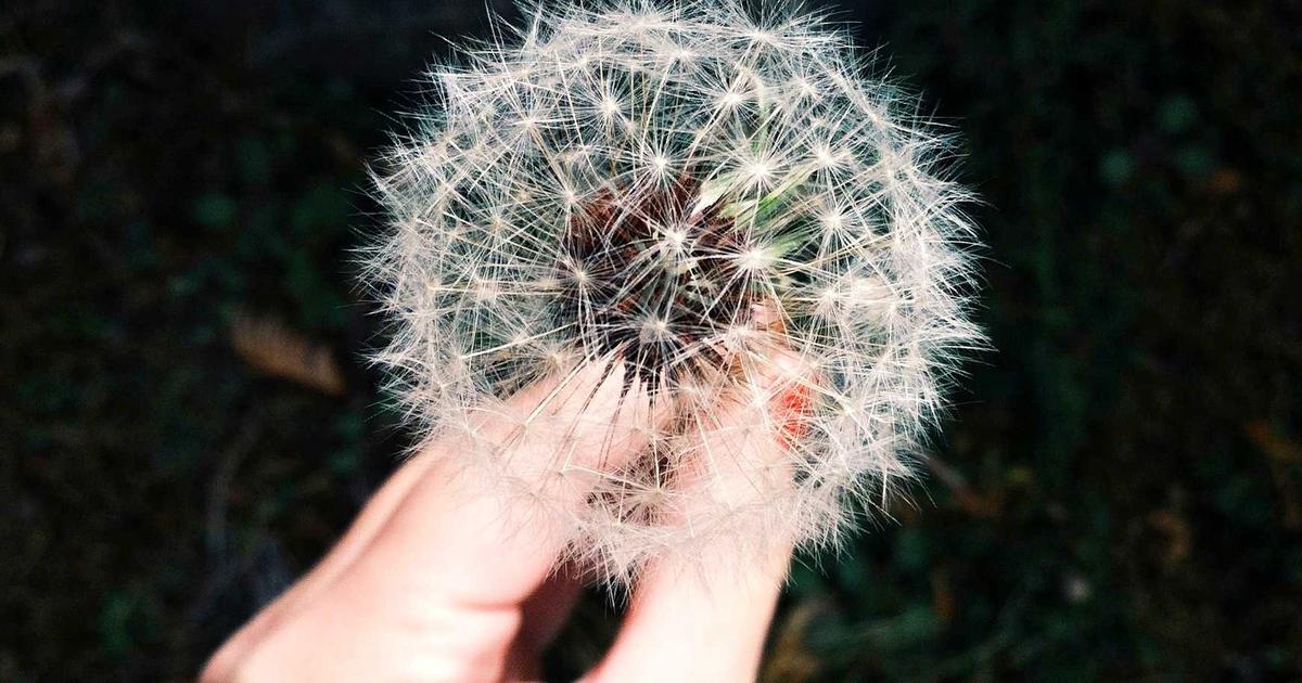 On-Demand Cannabis Delivery: Lessons in Convenience Economics for Crypto Watchers